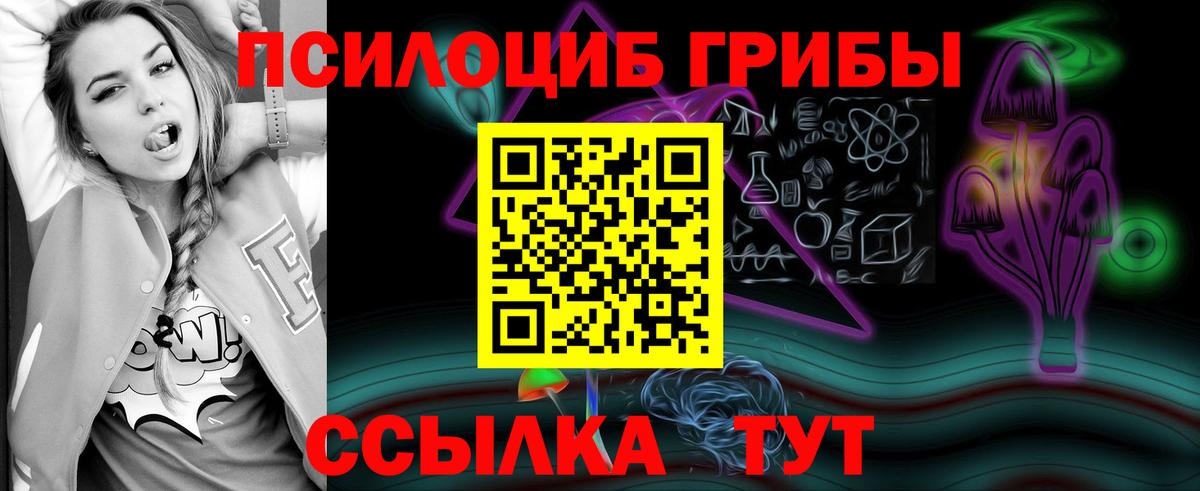 Псилоцибиновые грибы GOLDEN TEACHER  Вход с VPN  Тулун 